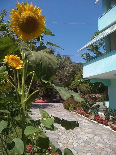Hostal Anessis