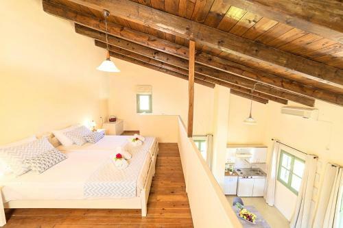 Apartamento Terra Vamos Guesthouse