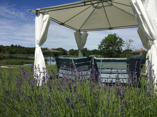 Lavender Village
