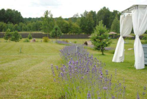 Lavender Village