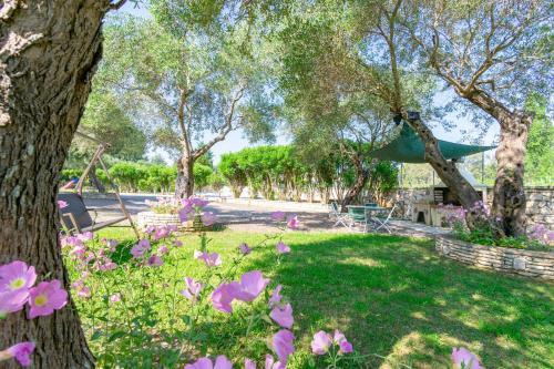 Corfu - Villa Rosa 2