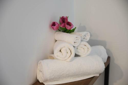 Villa Orion Eco Suites