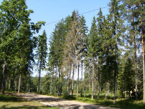 Kempings Ozolkalns