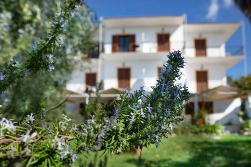 Liana Apartments Arillas
