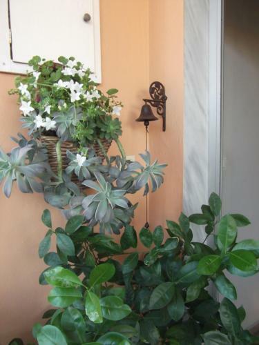 Apartamento Luxurious Appartments Katerina
