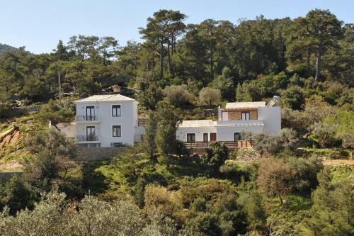 Apartamento Olivia Villas