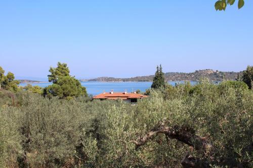 Apartamento Philippos 2