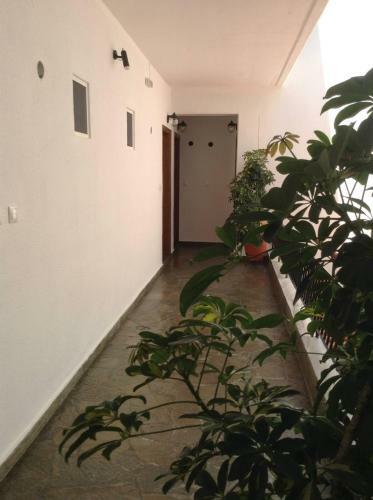 Apartments Voula