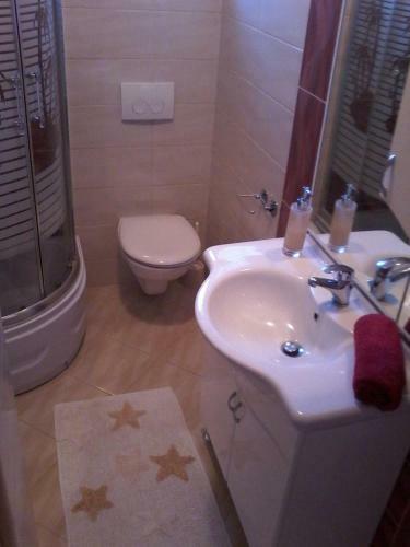 Apartments Mari - Barbecue