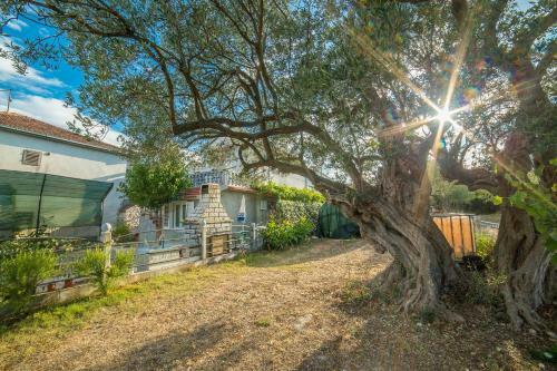 Apartments Ned-with Terrace