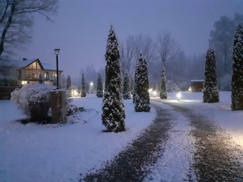 Forest Edge Lodge And House