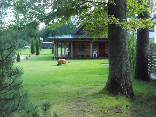Forest Edge Lodge And House