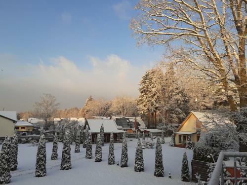 Forest Edge Lodge And House