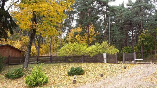 Forest Edge Lodge And House