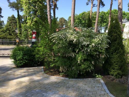 Hotel Parus