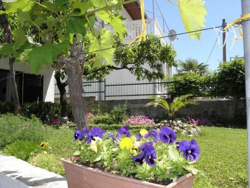 Apartments Mare - Close To Sea