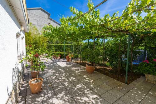 Apartamentos Nella.