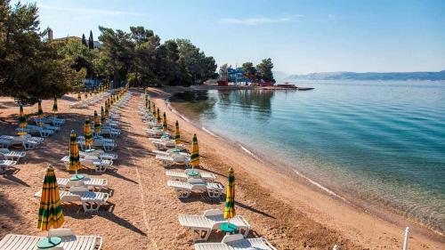 Apartman Branka