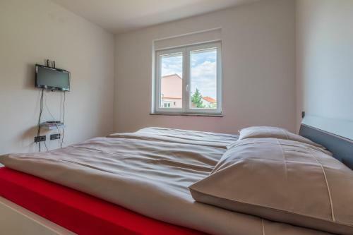 Apartment Ante