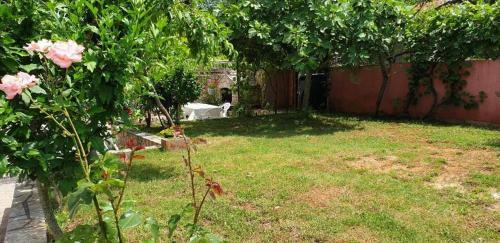 Hostal Apartments Roses