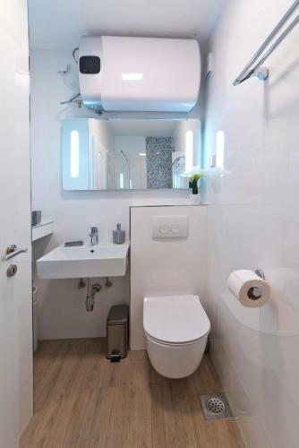 Apartment Ina