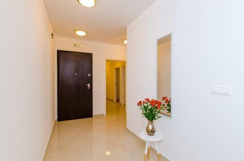 Grand Apartment