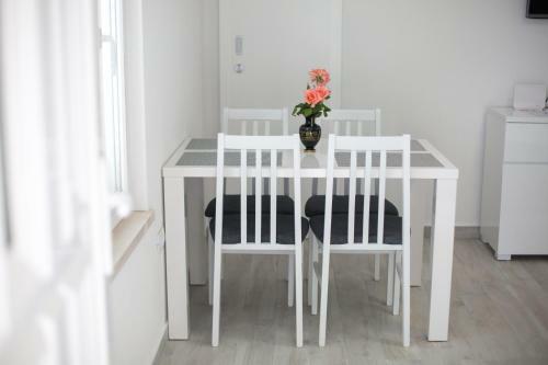 Serious Job Apartment