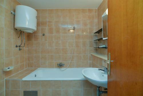 Apartment Ivan 2066