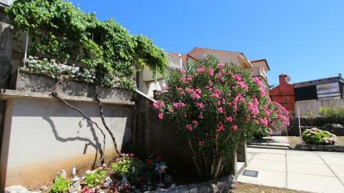 Hostal Apartments Diva