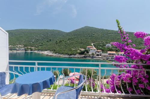 Apartments Dinko