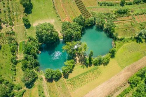 Prunus-luxurious Holiday Home With A Private Pool