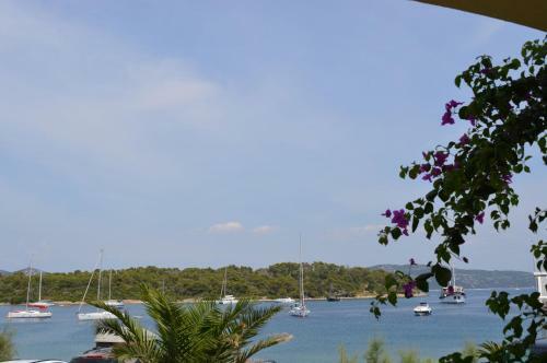 Apartments Davor - 20m From Sea