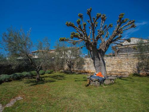 Luxurious Holiday Home In Heraki Croatia With Private Pool