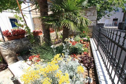 Apartamentos Brnic 3