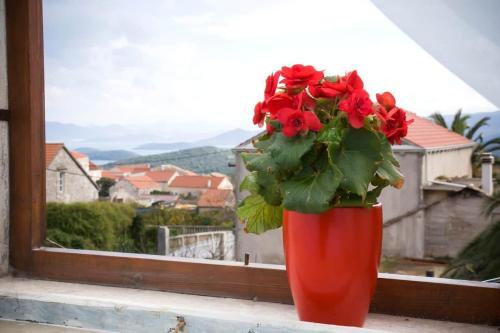 House Gardenia House