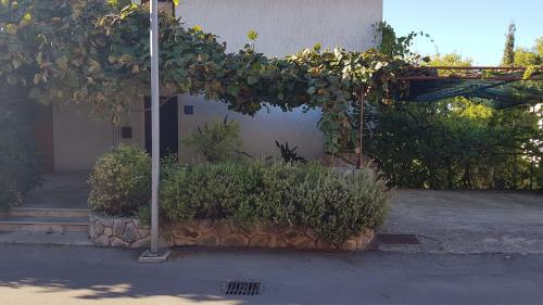 Apartment And Room Caric