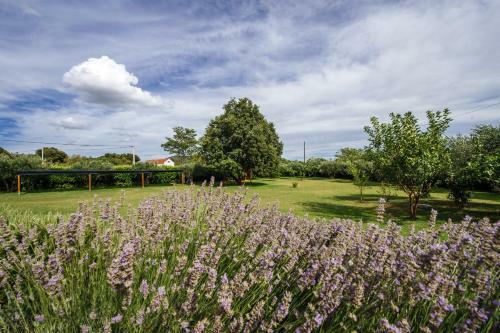 Villa Holiday Home Kakma