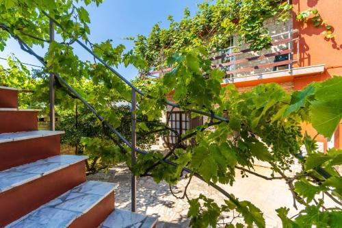 Apartamento Studio Maja 1511