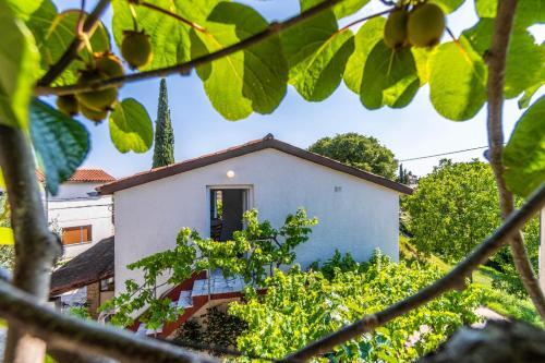 Apartamento Studio Maja 1511
