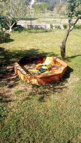Apartments Delfin
