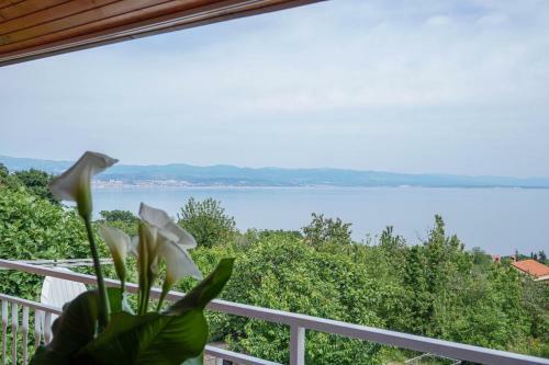 Apartments Jakov