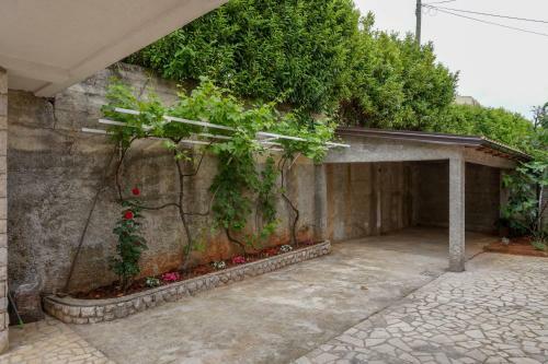 Apartments Jakov