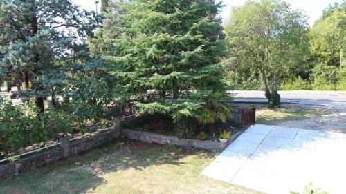 Hostal Apartments Trupec
