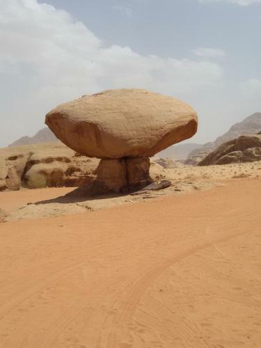 Obeid's Bedouin Life Camp