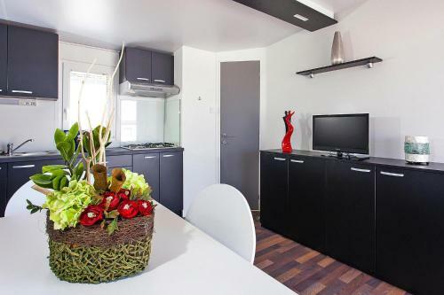Mobile Homes Kastanija Novigrad - Cis01233-mya