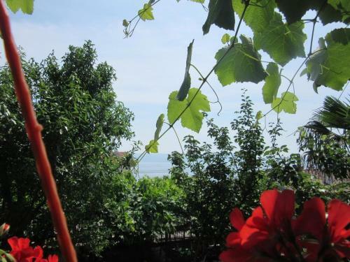 Apartamentos Miletic