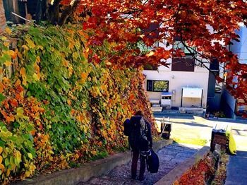 The Otarunai Backpacker's Hostel Morinoki