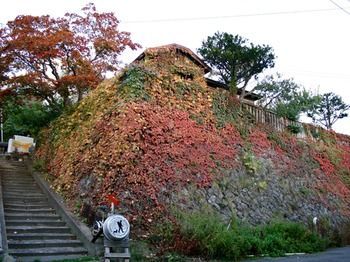 The Otarunai Backpacker's Hostel Morinoki