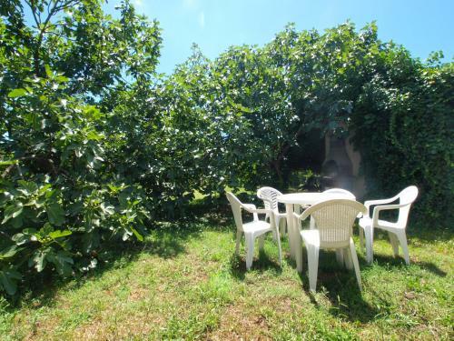 Apartments Josip 74