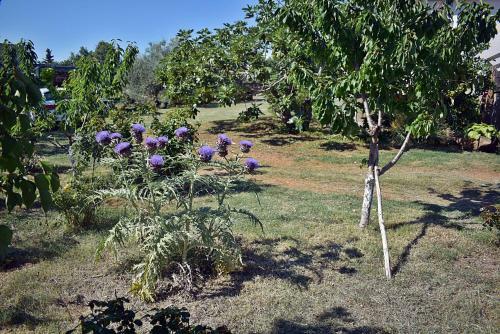 Casa Istriana - Heart Of Nature
